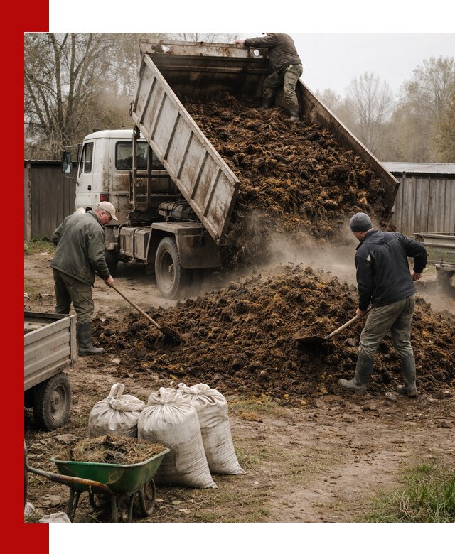 Доставка коровьего навоза самосвалом в Астрахани
